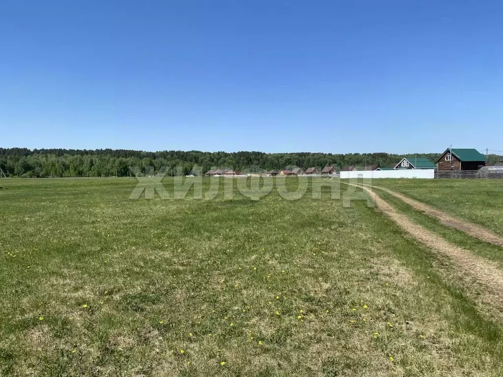 Участок в Томская область, Томский район, с. Курлек  (15.0 сот.) - Фото 2