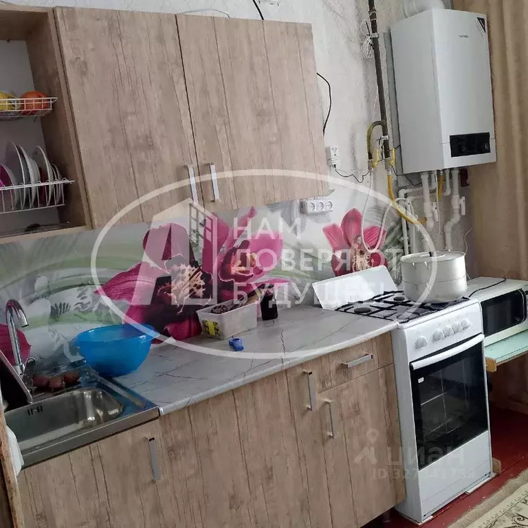 Дом в Пермский край, Чернушинский муниципальный округ, с. Деменево ул. ... - Фото 2