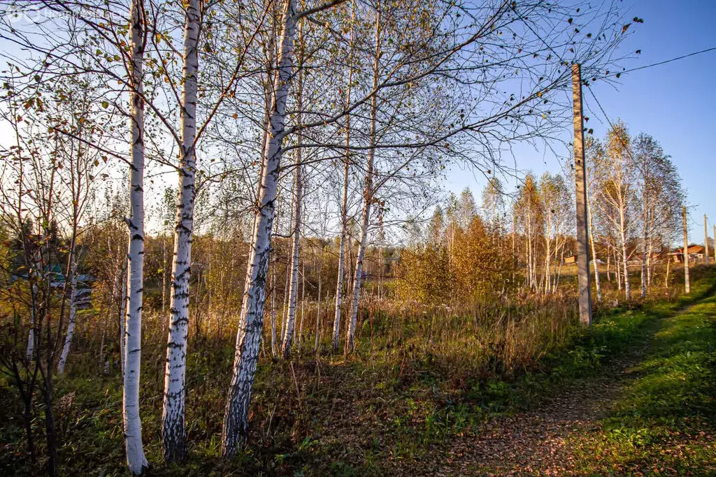 Участок в Раздольненский сельсовет, СНТ Простор (12 м) - Фото 0