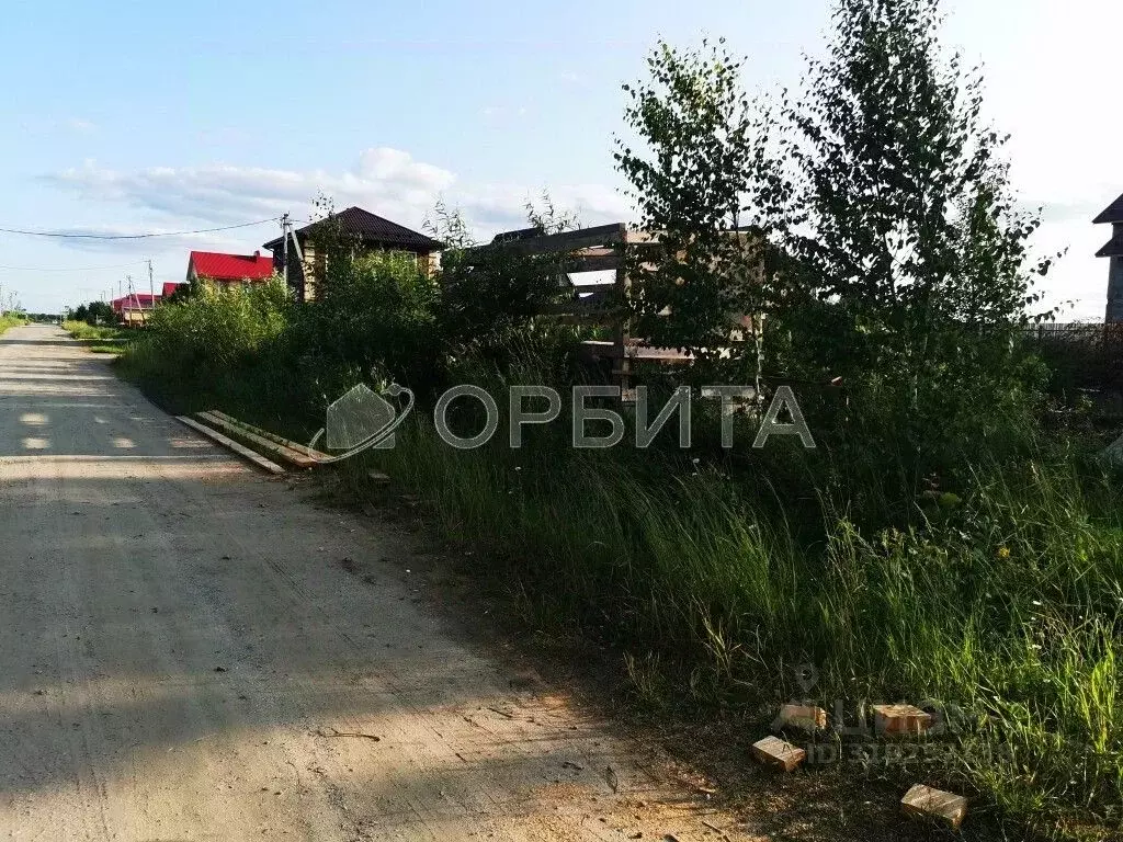 Участок в Тюменская область, Нижнетавдинский район, Деревня Большой ... - Фото 1