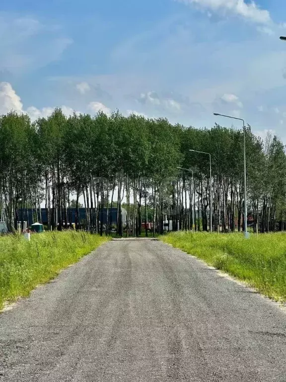 Участок в Тюменская область, Тюменский муниципальный округ, с. Кулига, ... - Фото 1