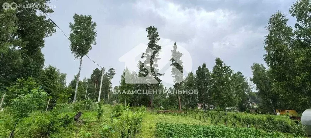 Участок в Барышевский сельсовет, садоводческое некоммерческое ... - Фото 1