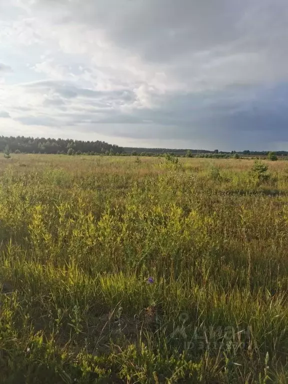 Участок в Татарстан, с. Высокая Гора  (10.0 сот.) - Фото 1