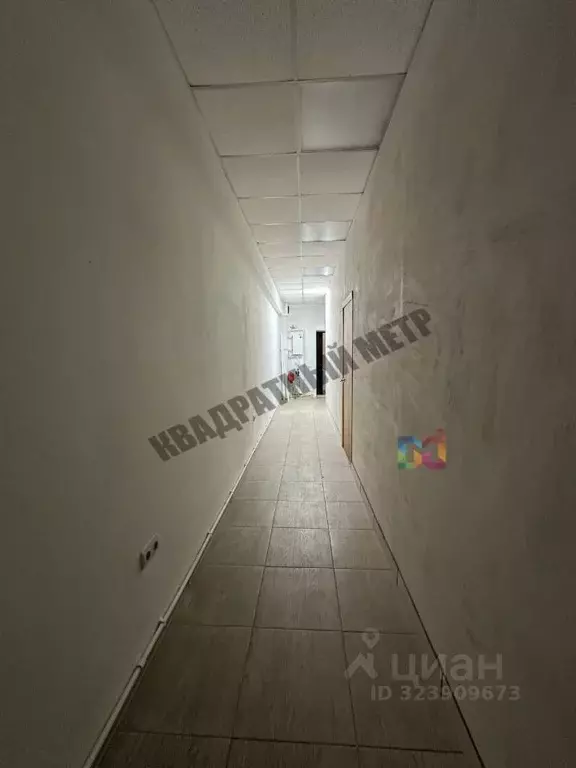 Помещение свободного назначения в Калмыкия, Элиста ул. А.С. Пушкина, ... - Фото 2