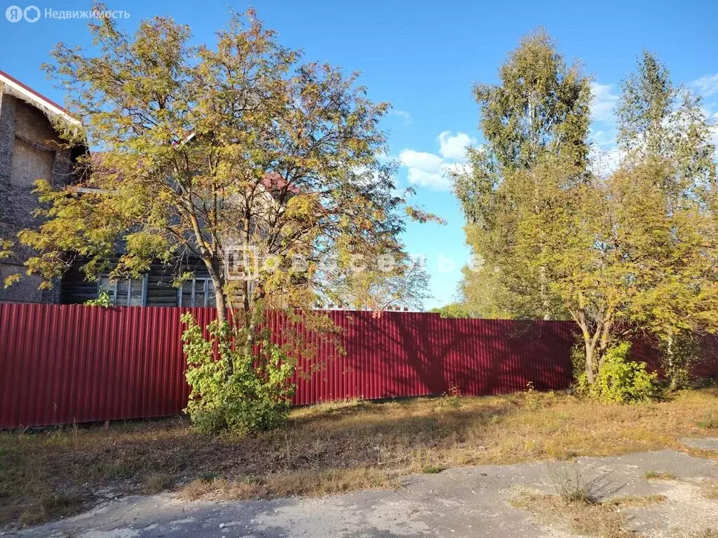 Помещение свободного назначения (245.5 м) - Фото 2