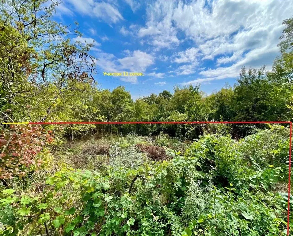 Участок в Крым, Ялта муниципальный округ, Гурзуф пгт ул. 60 лет СССР ... - Фото 1