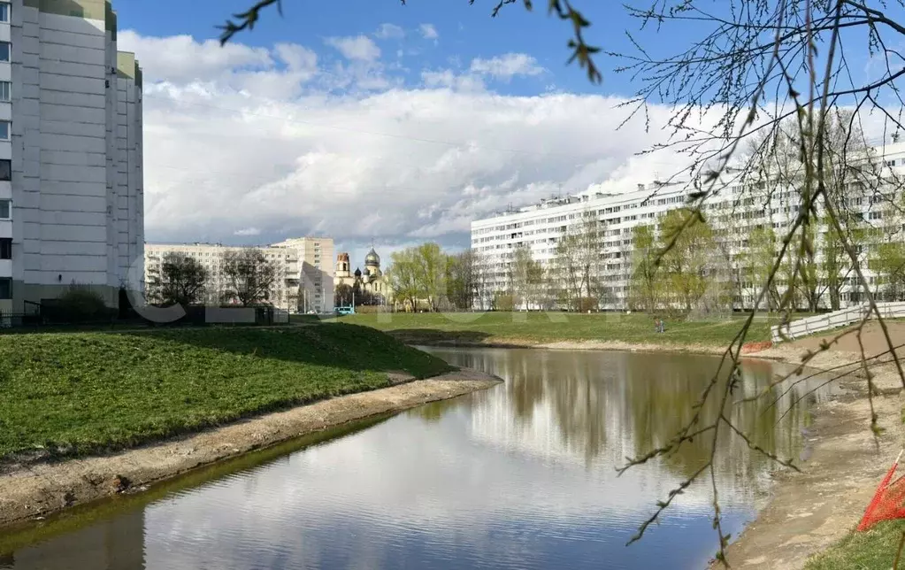 1-к кв. Санкт-Петербург ул. Стойкости, 19 (30.0 м) - Фото 1