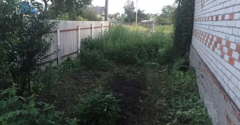 Купить Дом В Курганской Области Село Пичугино