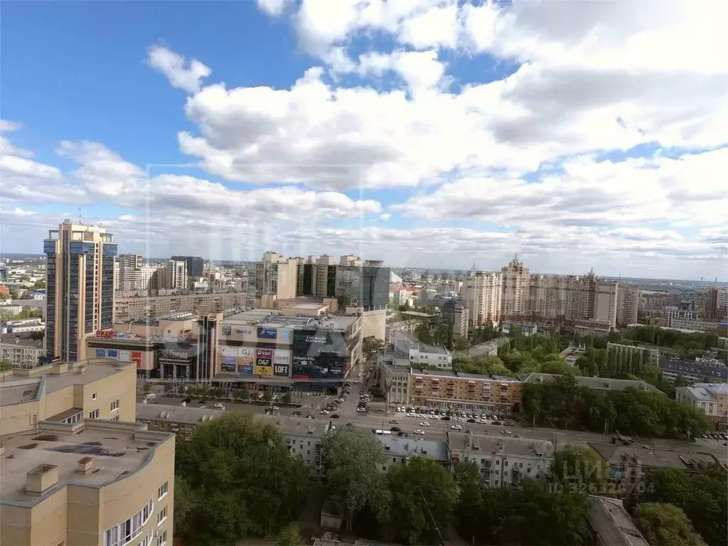 3-к кв. Воронежская область, Воронеж ул. Революции 1905 года, 31Е ... - Фото 2