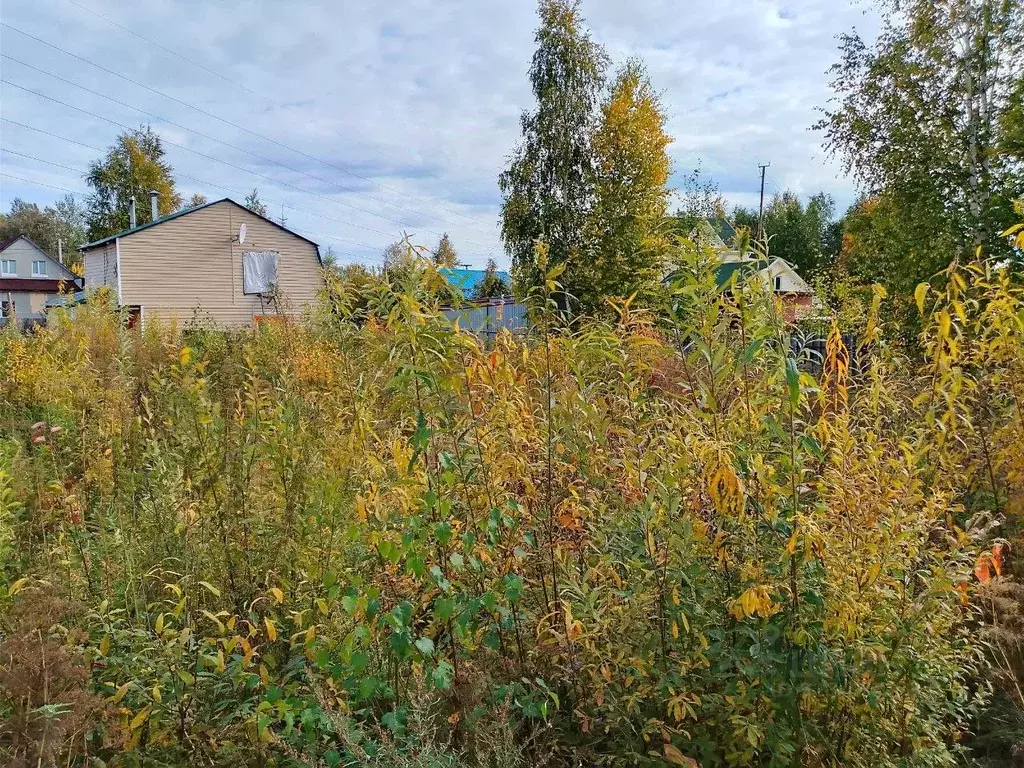 Участок в Ханты-Мансийский АО, Сургут Дорожник СОТ, ул. Одиннадцатая ... - Фото 1
