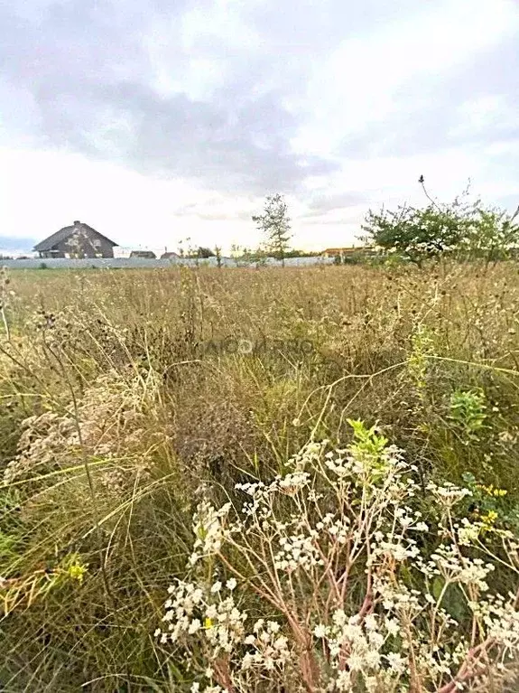 Участок в Саратовская область, Саратов Кумысная поляна СНТ, ул. Малая ... - Фото 2