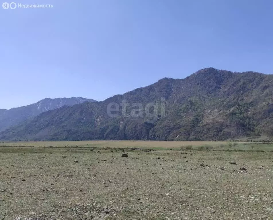 Участок в Чемальский район, село Куюс (11 м) - Фото 2