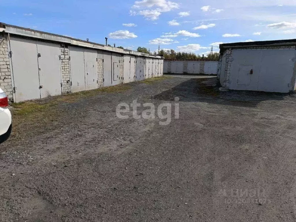Гараж в Тюменская область, Тюмень Новгородская ул., 12с1 (20 м) - Фото 0
