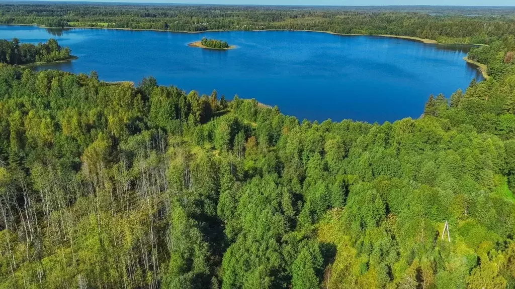 Участок в Тверская область, Вышневолоцкий муниципальный округ, д. Ухаб ... - Фото 1