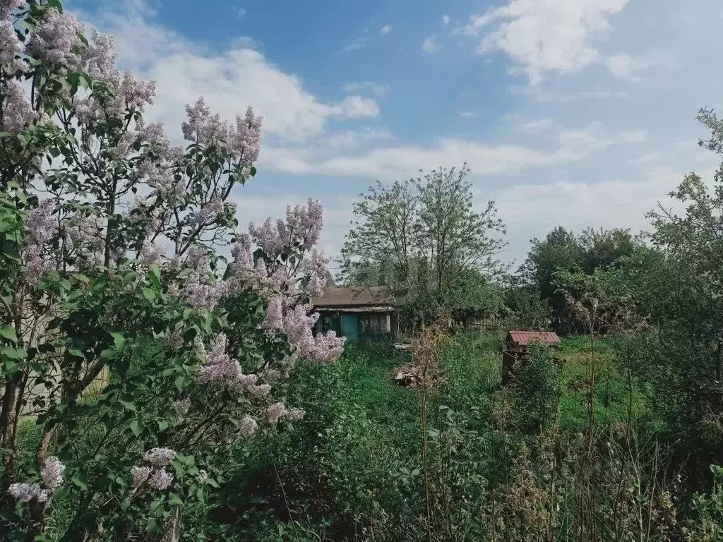 Участок в Кировская область, Юрьянский район, Загарское с/пос, ... - Фото 1