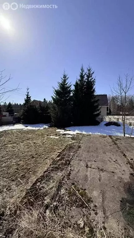 Участок в Московская область, городской округ Солнечногорск, садовое ... - Фото 1