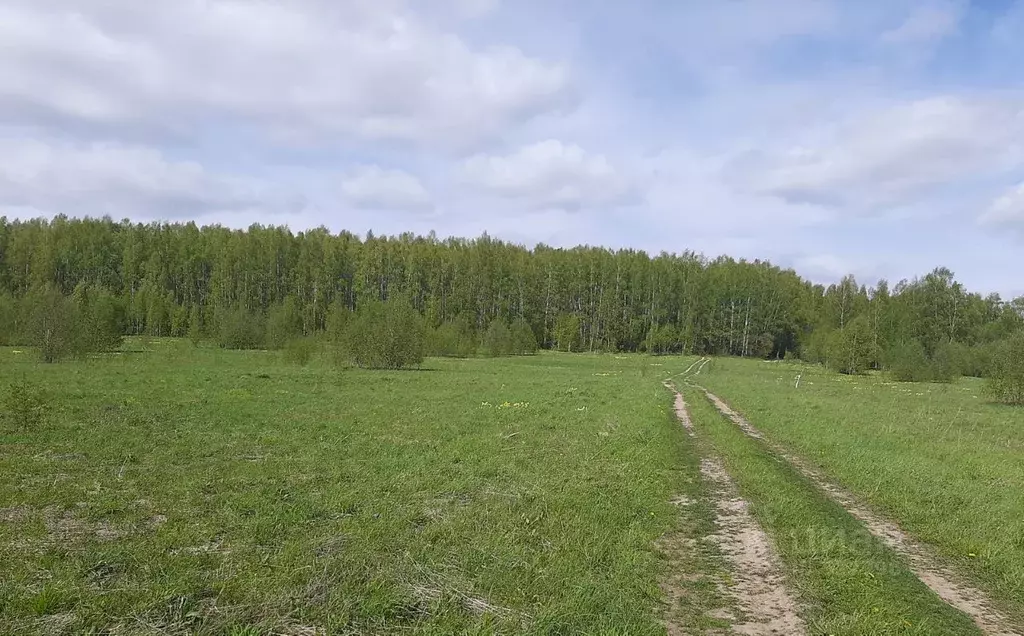 Купить Участок В Малых Брусянах Свердловская Область
