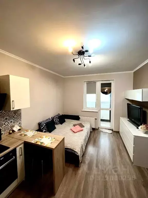 Студия Санкт-Петербург Парашютная ул., 36к1 (26.0 м) - Фото 1