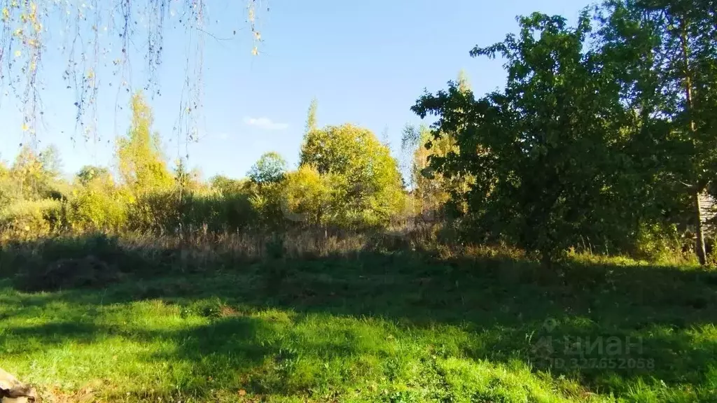 Участок в Ленинградская область, Киришский район, Будогощское ... - Фото 1