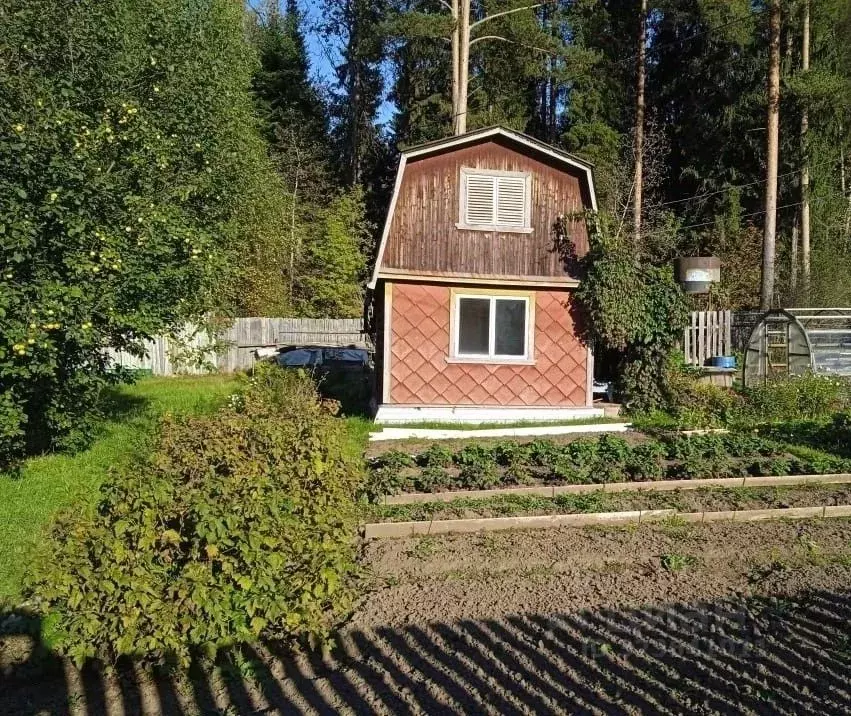Дом в Кировская область, Кирово-Чепецкий район, Федяковское с/пос, ... - Фото 1