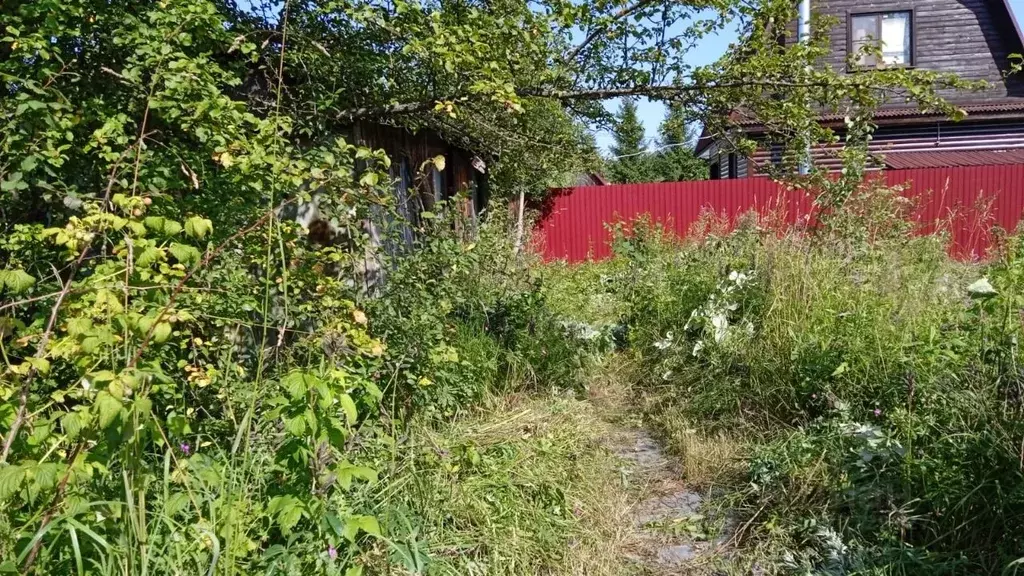 Участок в Калужская область, Жуковский район, Истье с/пос, Ремонтник ... - Фото 2
