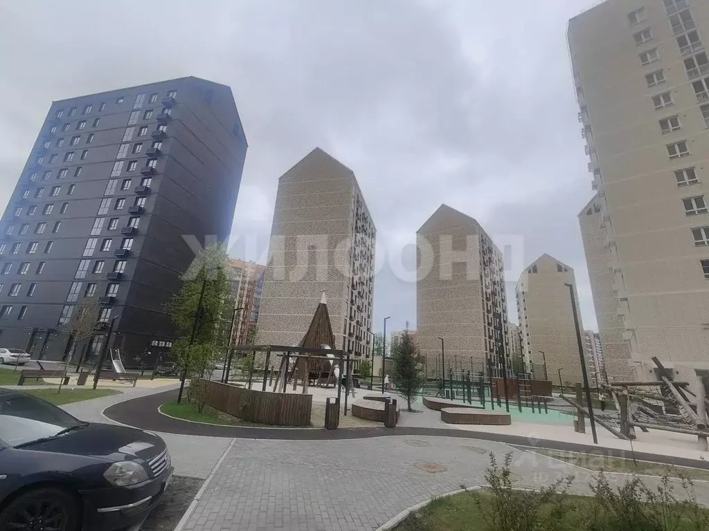 Помещение свободного назначения в Новосибирская область, Новосибирск ... - Фото 1