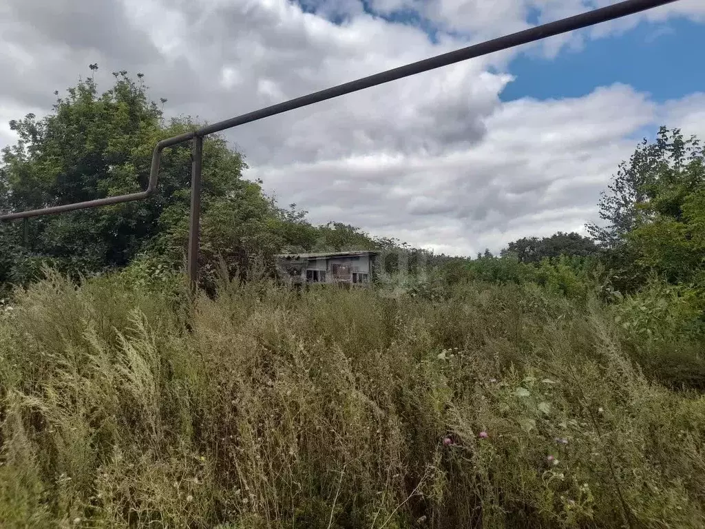 Дом в Саратовская область, Балашовский район, Терновское муниципальное ... - Фото 2