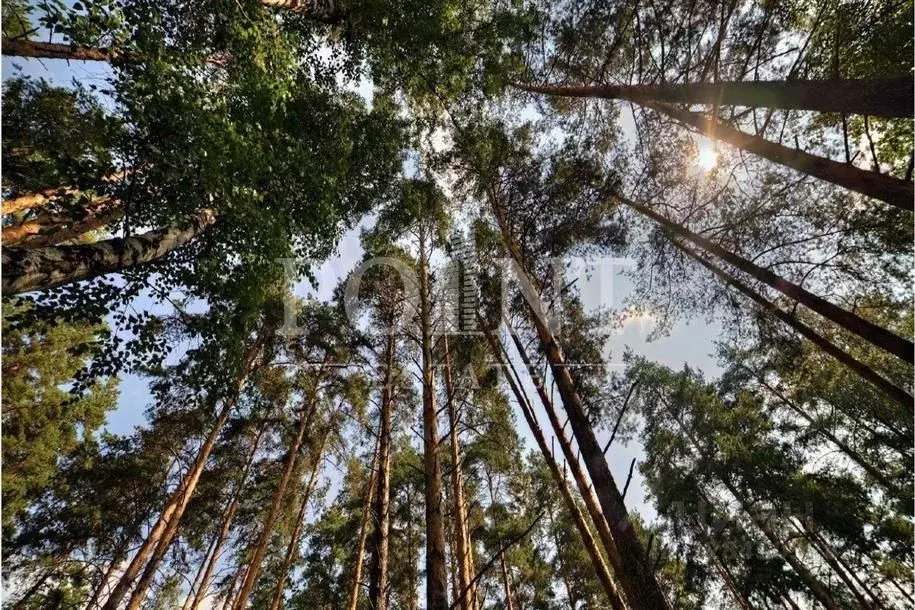 Участок в Московская область, Истра муниципальный округ, с. Павловская ... - Фото 1