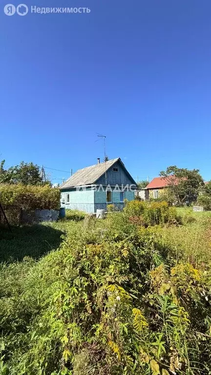 Дом в Уссурийск, Анучинская улица, 50 (28.9 м) - Фото 2