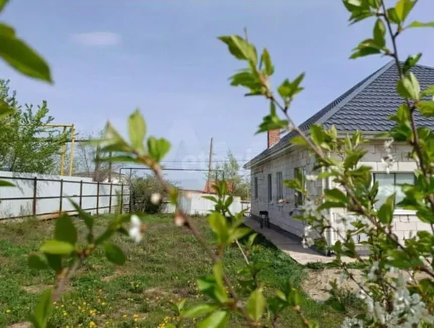 Дом в Самарская область, Кинель городской округ, Алексеевка пгт ул. ... - Фото 0