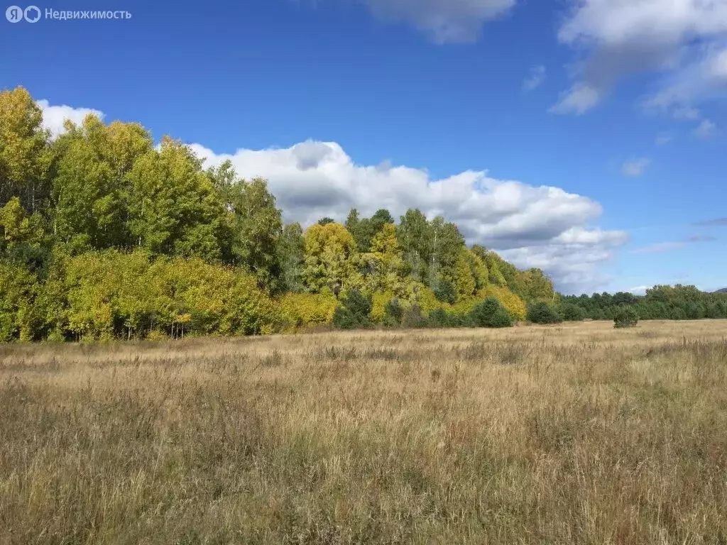 Участок в Баргузинский район, сельское поселение Адамовское (299.94 м) - Фото 1