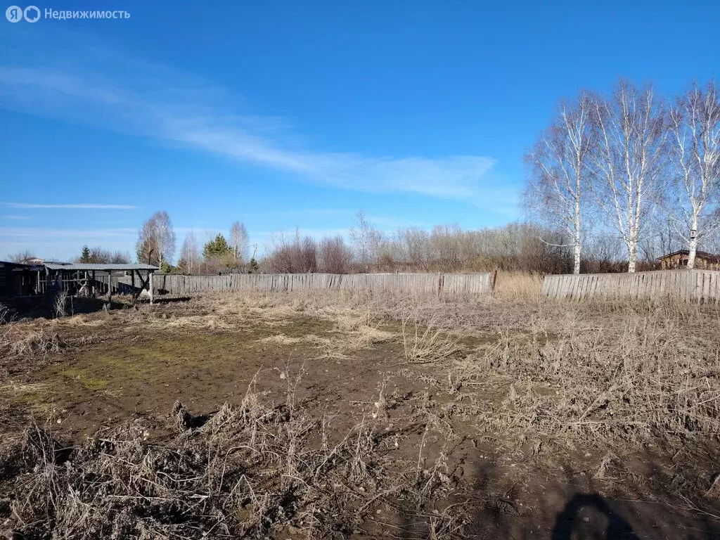 Участок в Тюменская область, Вагайский муниципальный округ, деревня ... - Фото 1