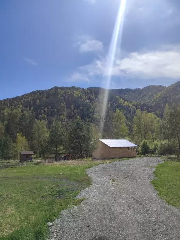 Участок в Алтай, Чемальский район, Элекмонарское с/пос, с. Элекмонар  ... - Фото 1