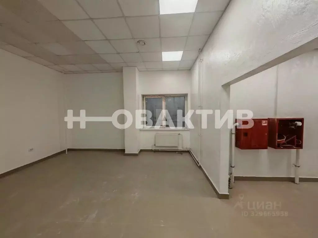 Офис в Новосибирская область, Новосибирск Тульская ул., 80 (216 м) - Фото 1