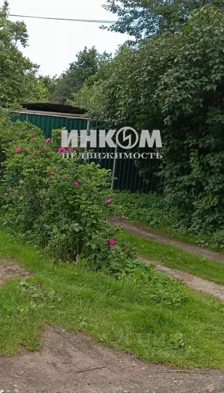 Дом в Московская область, Пушкино Звягино мкр, ул. Кирова, 18 (29 м) - Фото 1