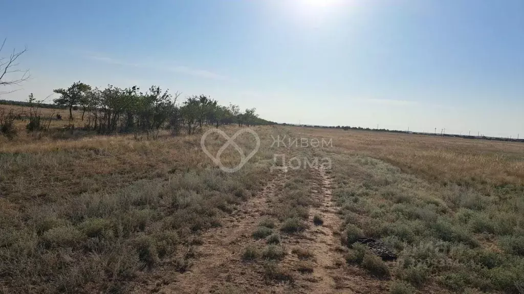 Участок в Волгоградская область, Волгоград Село Песчанка тер., ул. ... - Фото 0