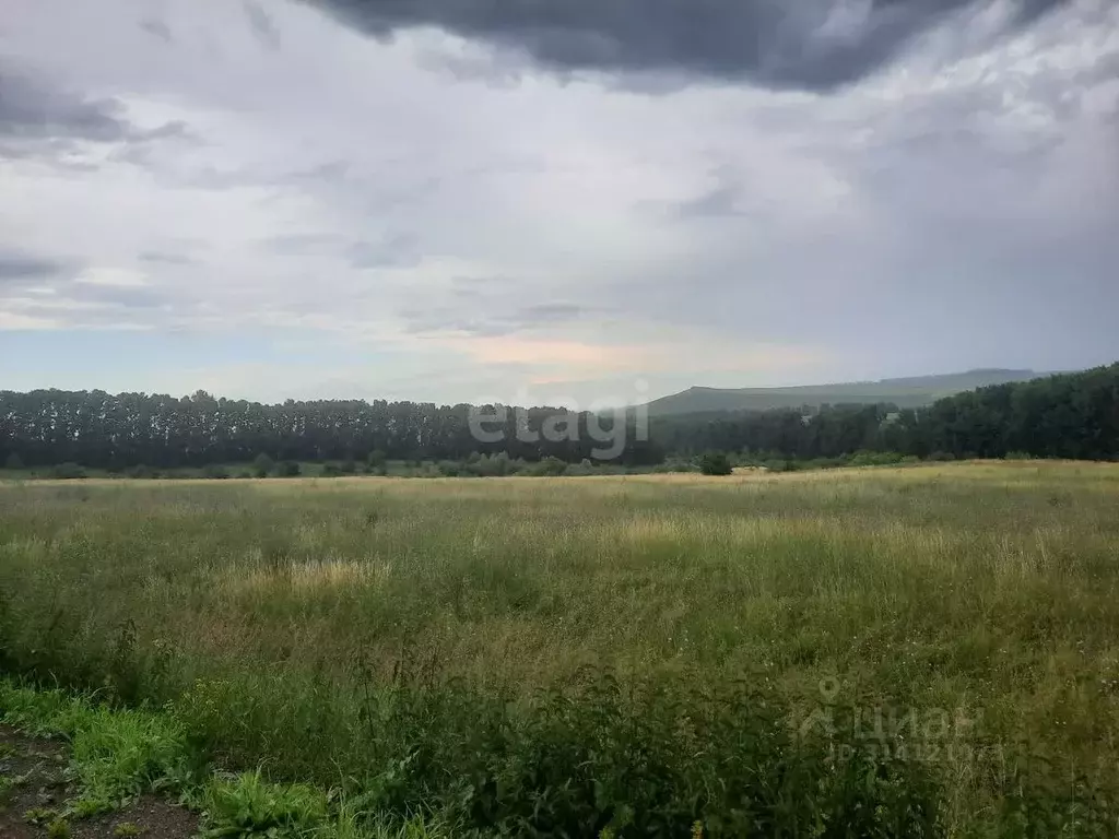 Участок в Алтайский край, Смоленский район, с. Черновая Заречная ул. ... - Фото 0