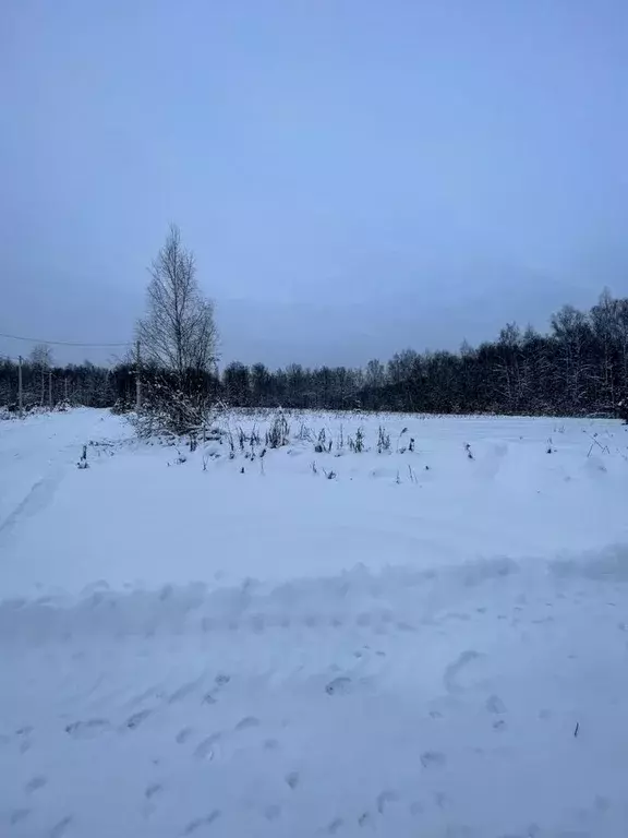 Участок в Московская область, Пушкинский городской округ, Жюльверн кп  ... - Фото 2