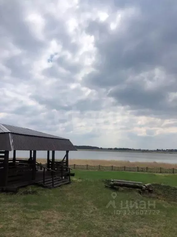 Дом в Алтайский край, Каменский район, с. Дресвянка Школьная ул., 86 ... - Фото 2