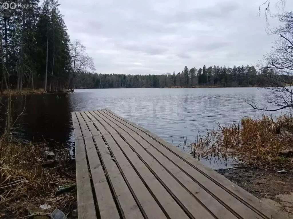 Участок в Выборгский район, Рощинское городское поселение, посёлок ... - Фото 2