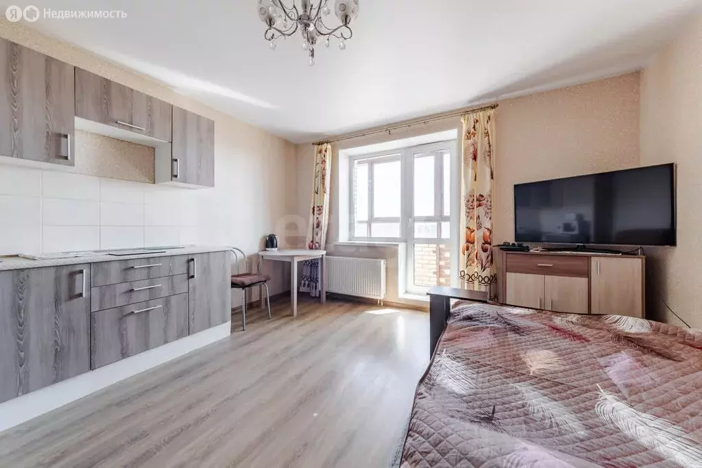 Квартира-студия: Бугры, Тихая улица, 1 (24.5 м) - Фото 0