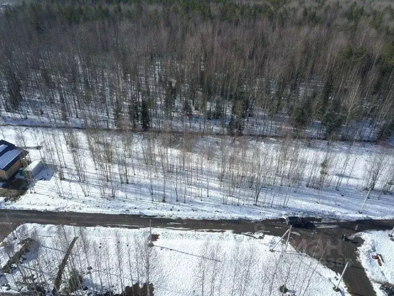 Участок в Ленинградская область, Всеволожский район, Колтушское ... - Фото 2