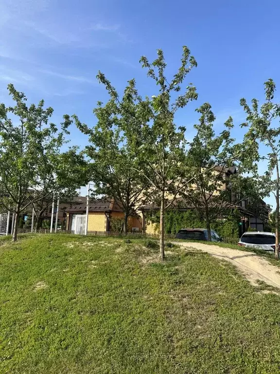 Участок в Московская область, Мытищи городской округ, д. Шолохово ... - Фото 1