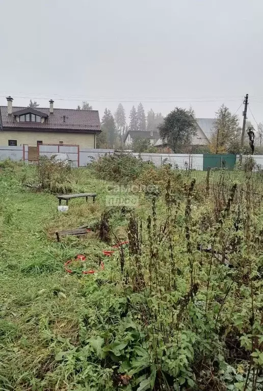 Участок в Московская область, Солнечногорск городской округ, Энтузиаст ... - Фото 1