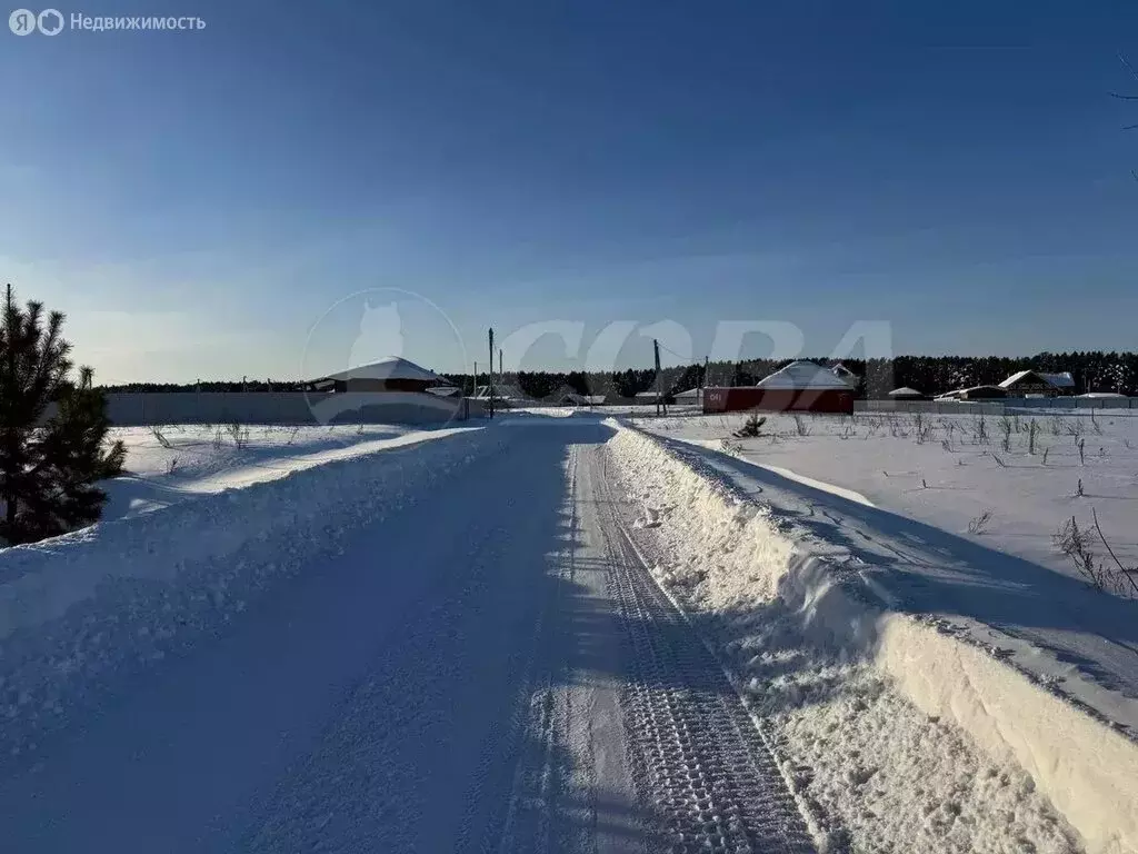 Участок в Тюменский муниципальный округ, деревня Криводанова (8.6 м) - Фото 1