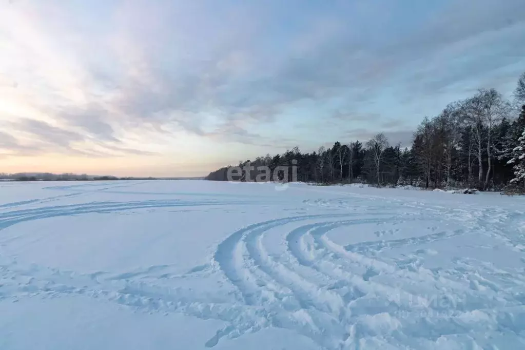 Участок в Тюменская область, Тюменский район, д. Криводанова  (50.1 ... - Фото 1