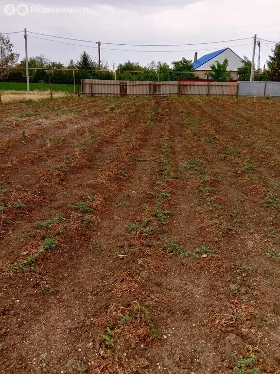 Участок в Щербиновский район, село Глафировка (5 м) - Фото 1