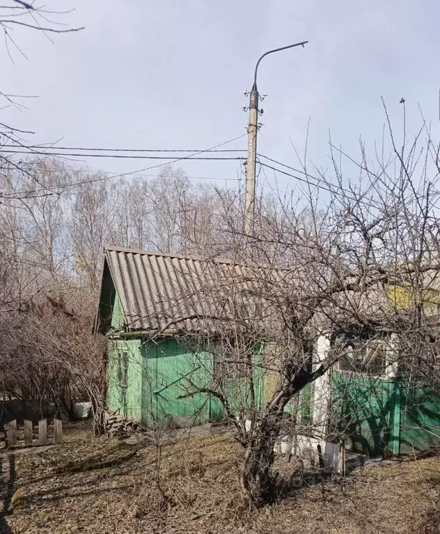 Дом в Челябинская область, Челябинск Строитель СНТ, ул. Западная, 167 ... - Фото 1