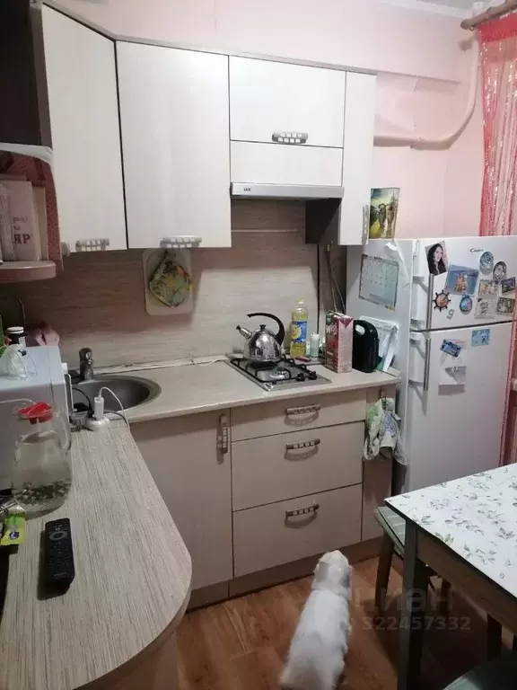 1-к кв. Новгородская область, Великий Новгород ул. Щусева, 4к1 (32.0 ... - Фото 1