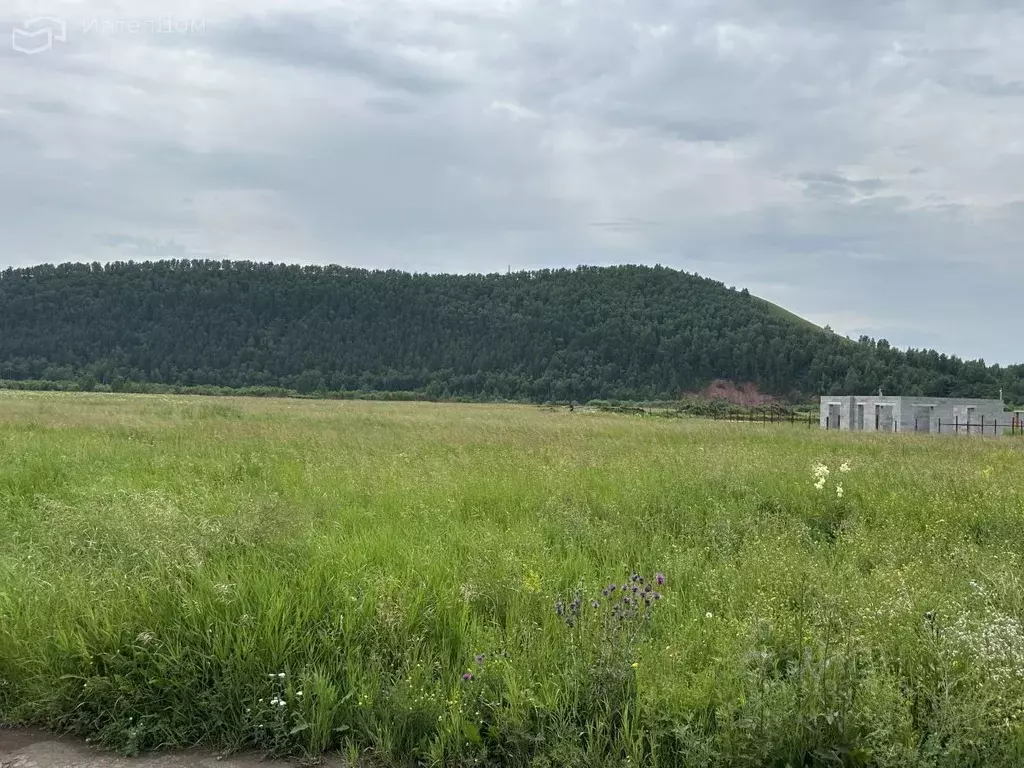 Участок в Красноярский край, Емельяновский район, Солонцовский ... - Фото 0